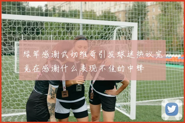 绿军感谢武切维奇引发球迷热议究竟在感谢什么表现不佳的中锋